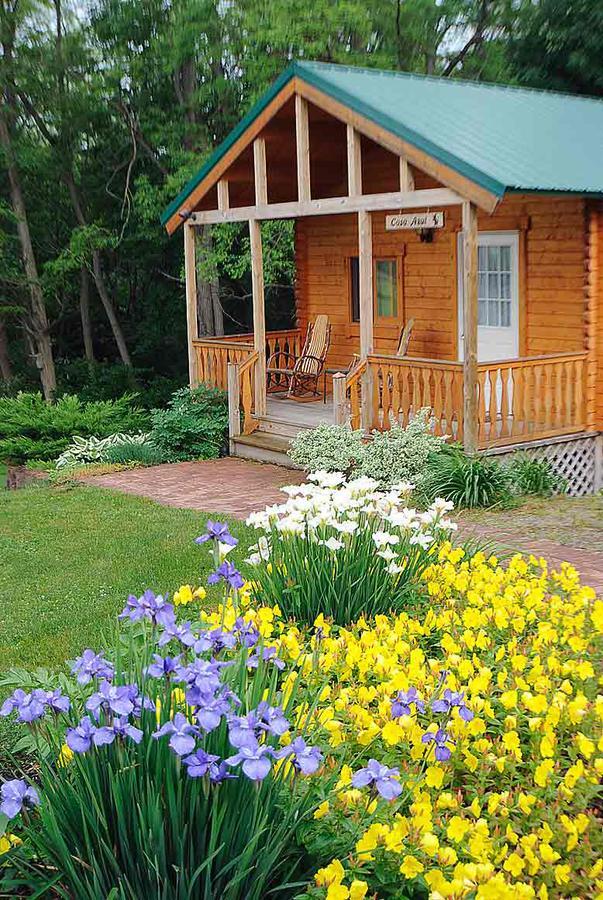 Los Gatos Bed & Breakfast Penn Yan Extérieur photo