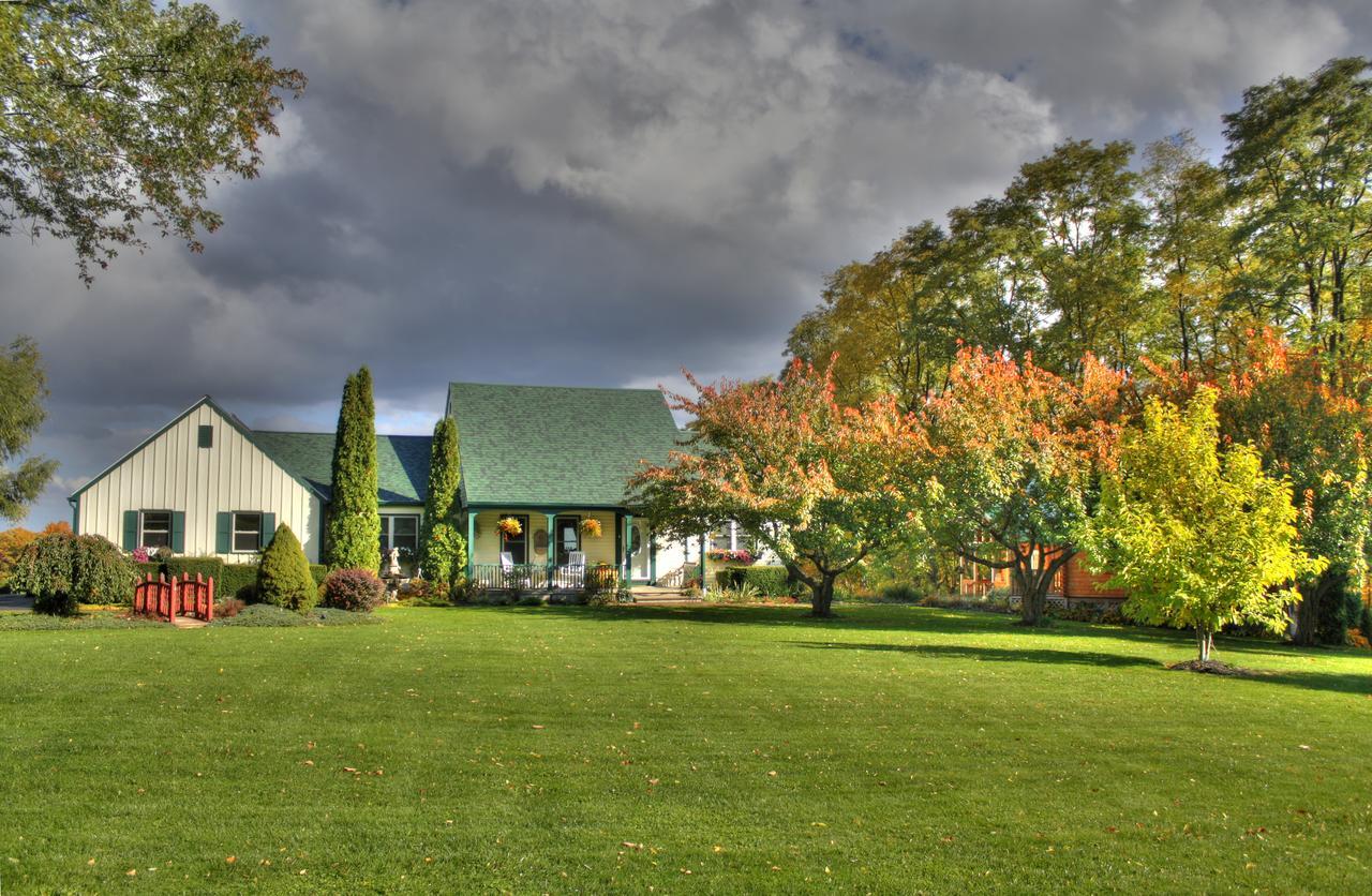 Los Gatos Bed & Breakfast Penn Yan Extérieur photo