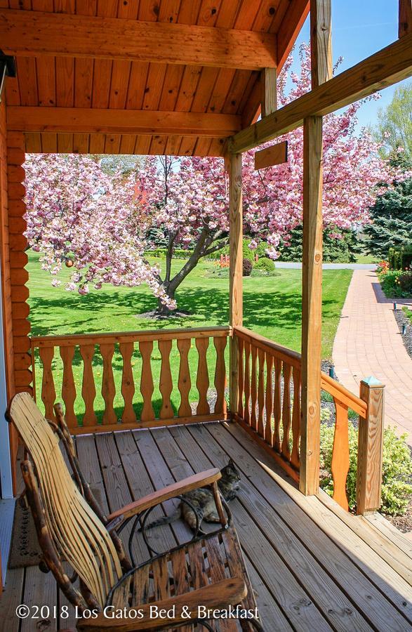 Los Gatos Bed & Breakfast Penn Yan Extérieur photo